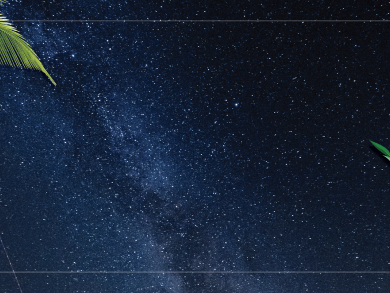 Sukkot Dinner Under the Stars